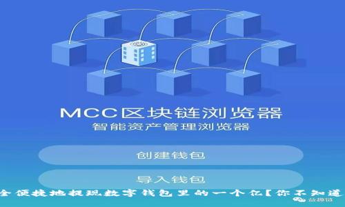 如何安全便捷地提现数字钱包里的一个亿？你不知道的秘密！