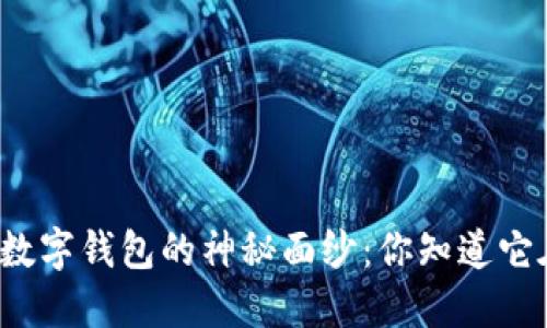 揭开建行数字钱包的神秘面纱：你知道它在哪里吗？