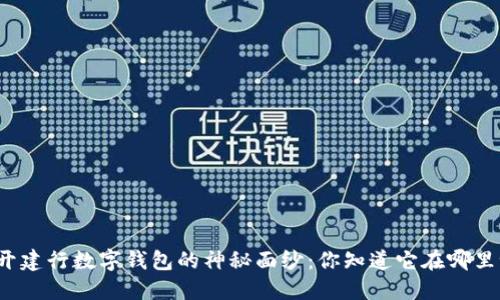 揭开建行数字钱包的神秘面纱：你知道它在哪里吗？