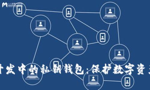 揭秘区块链开发中的私钥钱包：保护数字资产的秘密武器