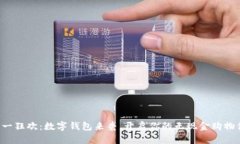 双十一狂欢：数字钱包来袭，开启你的无现金购