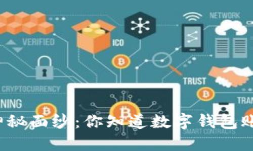 揭开数字钱包的神秘面纱：你知道数字钱包账户的不同类型吗？