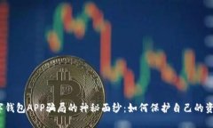 揭开数字钱包APP骗局的神秘面纱：如何保护自己