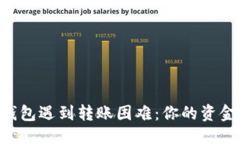 当数字钱包遇到转账困难：你的资金安全吗？