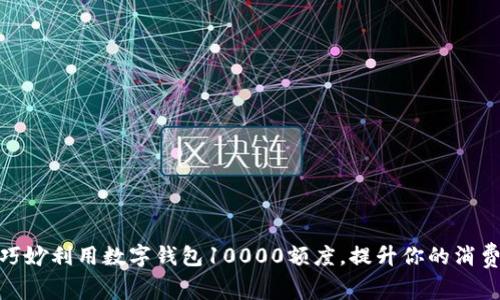 如何巧妙利用数字钱包10000额度，提升你的消费体验