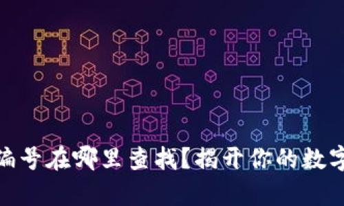数字钱包编号在哪里查找?揭开你的数字财富奥秘