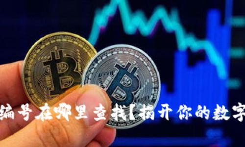 数字钱包编号在哪里查找?揭开你的数字财富奥秘