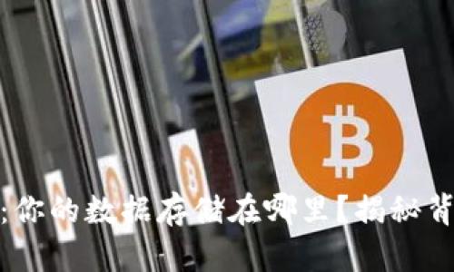 数字钱包的秘密：你的数据存储在哪里？揭秘背后的科技与保障