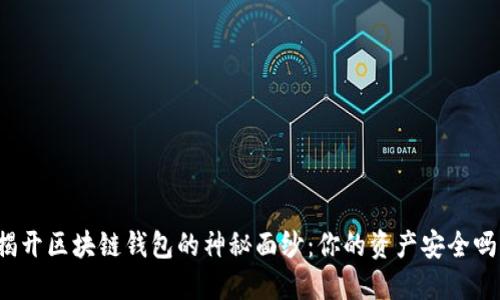 揭开区块链钱包的神秘面纱：你的资产安全吗？