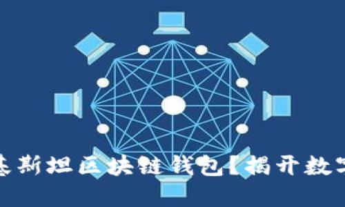 如何选择适合你的巴基斯坦区块链钱包？揭开数字资产管理的神秘面纱