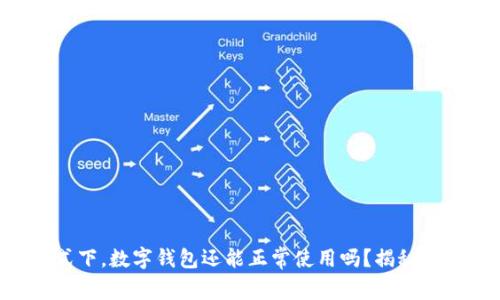 飞行模式下，数字钱包还能正常使用吗？揭秘你的疑惑！