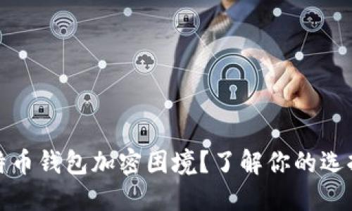 如何应对来特币钱包加密困境？了解你的选择与解决方案