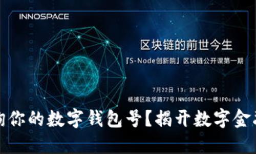 如何轻松查询你的数字钱包号？揭开数字金融的神秘面纱