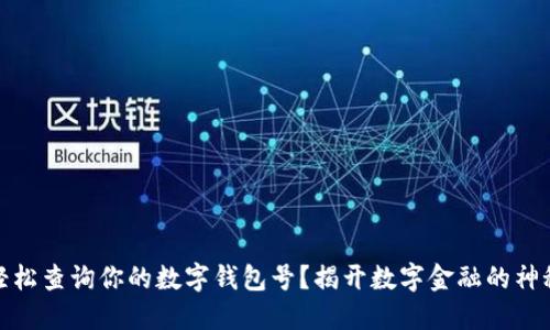 如何轻松查询你的数字钱包号？揭开数字金融的神秘面纱