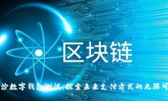 南沙数字钱包测试：探索未来支付方式的无限可