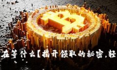 : 数字货币钱包，你还在等什么？揭开领取的秘密