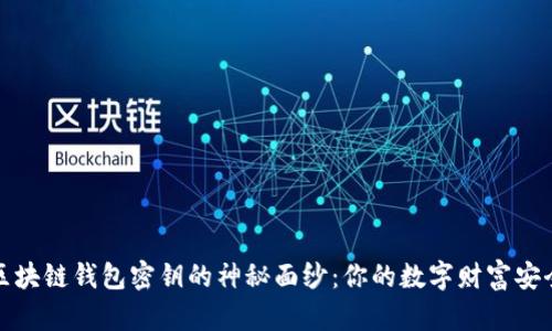 揭开区块链钱包密钥的神秘面纱：你的数字财富安全之钥