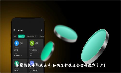 加密钱包中的龙头币：如何选择最适合你的数字资产？