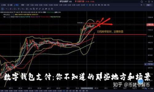 数字钱包支付：你不知道的那些地方和场景