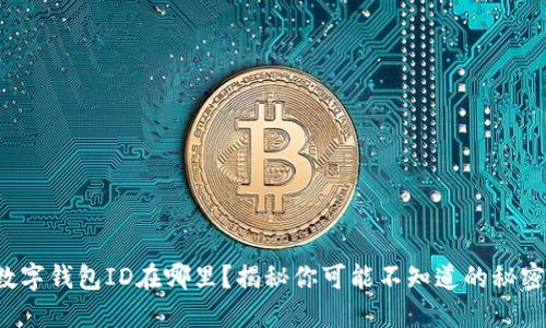 数字钱包ID在哪里？揭秘你可能不知道的秘密！