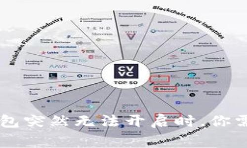 当你的TP钱包突然无法开启时,你需要知道的事