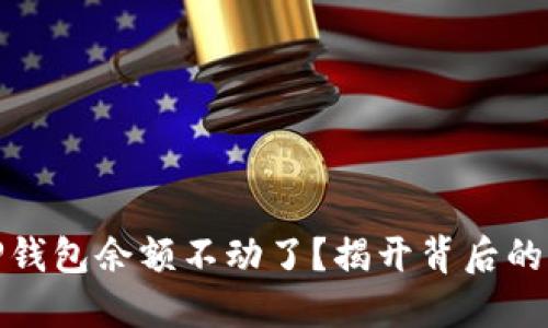 : 为什么你的TP钱包余额不动了?揭开背后的原因与解决方案