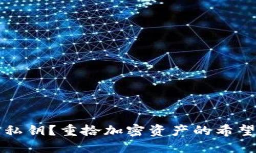 丢失TP钱包私钥?重拾加密资产的希望与解决方案
