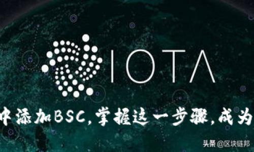 如何轻松在TP钱包中添加BSC,掌握这一步骤,成为数字资产管理高手!