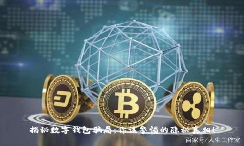 揭秘数字钱包骗局:你该警惕的隐秘真相!