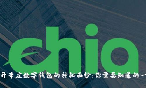 揭开辛庄数字钱包的神秘面纱：你需要知道的一切
