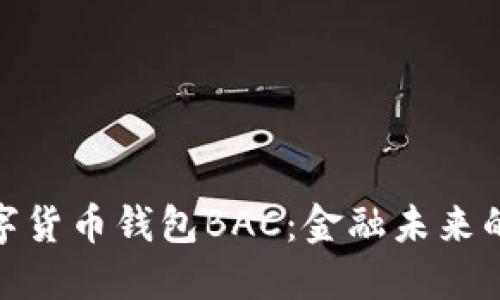 探寻央行数字货币钱包BAC：金融未来的钥匙与机遇