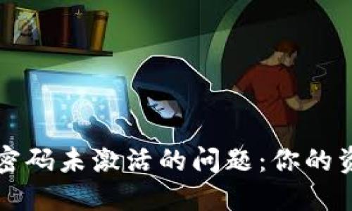 如何应对数字钱包密码未激活的问题:你的资金安全与操作指南