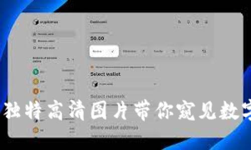探索TP钱包:独特高清图片带你窥见数字资产的未来