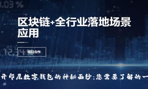 揭开印尼数字钱包的神秘面纱：您需要了解的一切