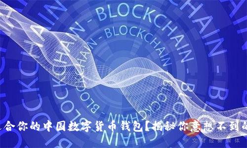 如何选择适合你的中国数字货币钱包？揭秘你意想不到的选择方案！