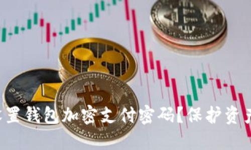 如何高效设置钱包加密支付密码？保护资产的第一步！