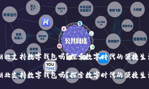 湖北支持数字钱包吗？探索数字时代的便捷生活

湖北支持数字钱包吗？探索数字时代的便捷生活
