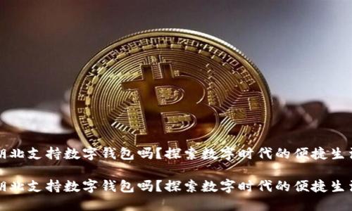 湖北支持数字钱包吗？探索数字时代的便捷生活

湖北支持数字钱包吗？探索数字时代的便捷生活