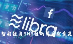 解密TP钱包：智能链与BNB链的背后究竟是怎样的秘