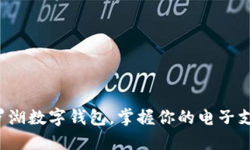 轻松驾驭罗湖数字钱包，掌握你的电子支付新方式！