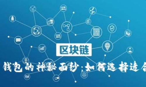 揭开数字币钱包的神秘面纱：如何选择适合你的钱包？