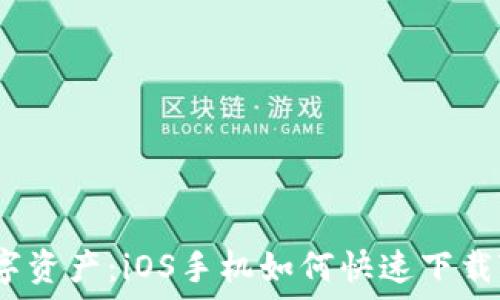 解锁数字资产:iOS手机如何快速下载TP钱包?