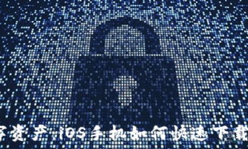 解锁数字资产:iOS手机如何快速下载TP钱包?