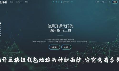 揭开区块链钱包地址的神秘面纱：它究竟有多长？