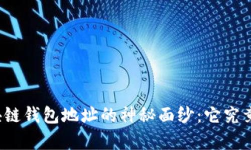 揭开区块链钱包地址的神秘面纱：它究竟有多长？