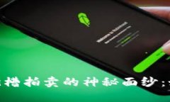 揭开TP钱包质押KSM插槽拍卖的神秘面纱：如何在波
