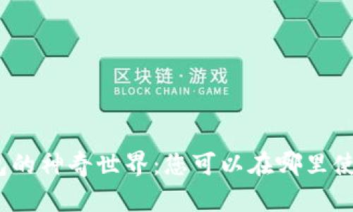 数字钱包的神奇世界：您可以在哪里使用它们？
