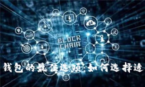 探索数字货币钱包的最佳选项：如何选择适合你的那一款