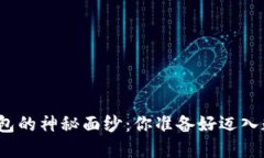 揭开央行指定数字钱包的神秘面纱：你准备好迈