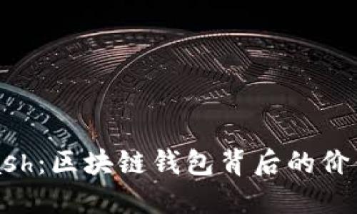 揭秘Kcash：区块链钱包背后的价值与潜力